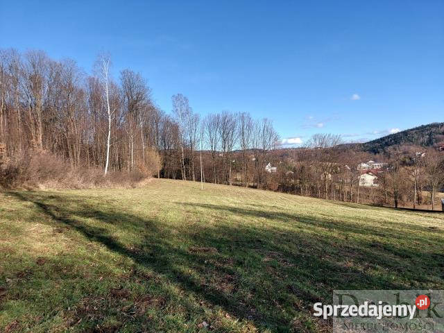 sprzedaży działki 8534m2 Marcówka sprzedam