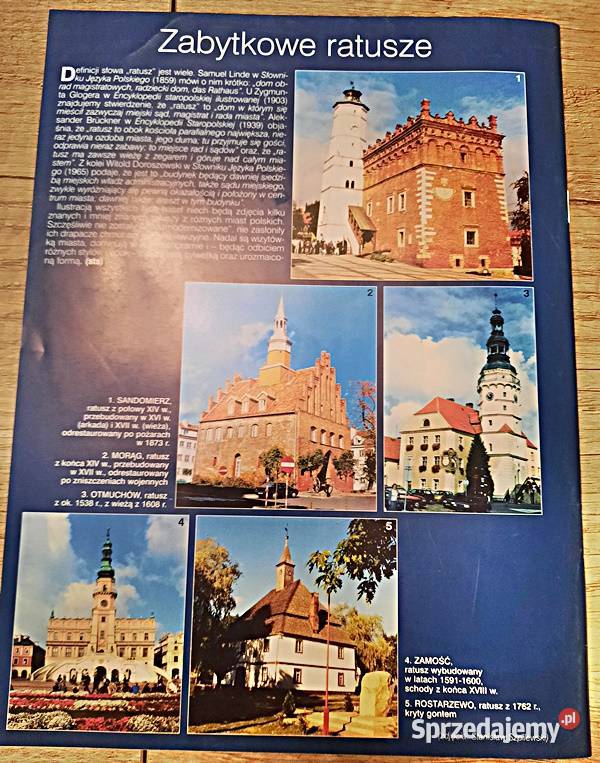 Spotkania z zabytkami 6 2003 r wielkopolskie