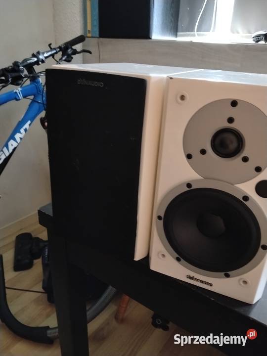 Dynaudio Ostrowiec Świętokrzyski