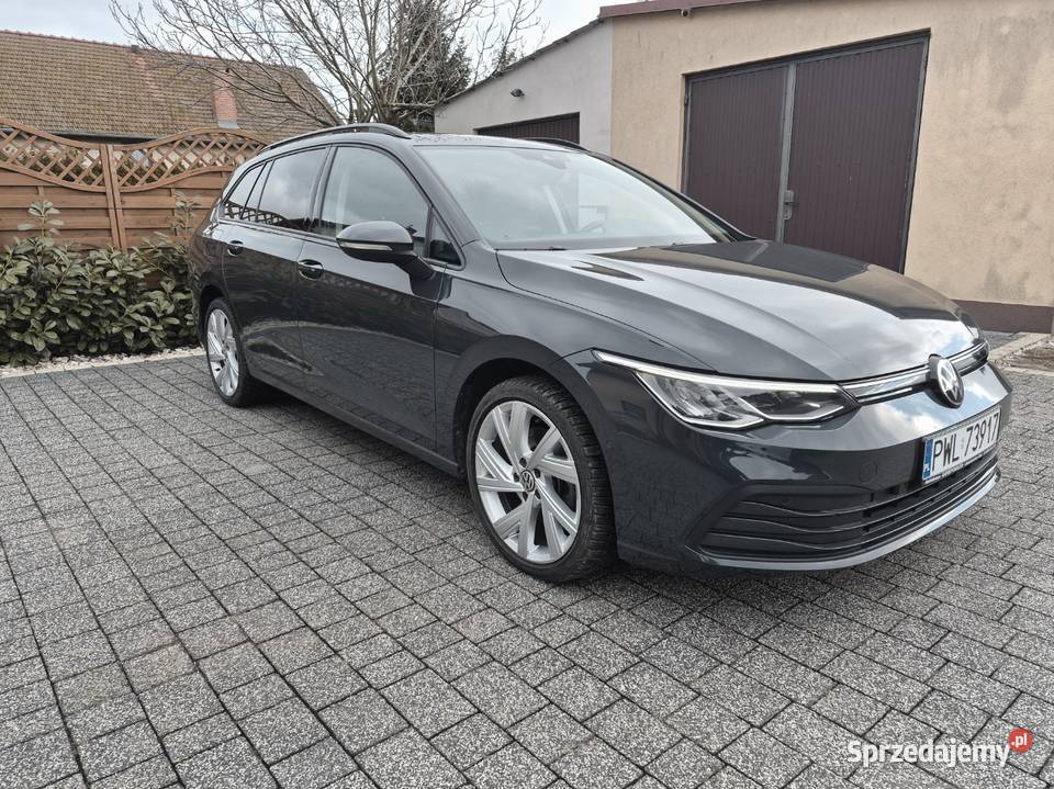 Voltswagen Golf 8 Orginalny Niski przebieg Wolsztyn