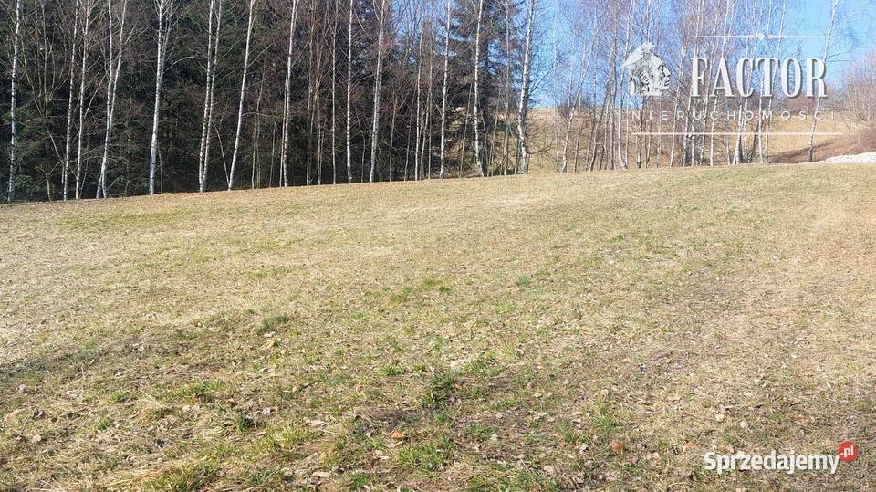 Widokowa działka budowlana 1279 ara Bieśnik gm