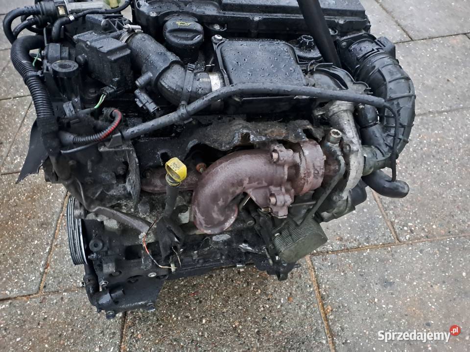 Citroen C3 14 HDi 68 silnik kompletny kod 8HZ