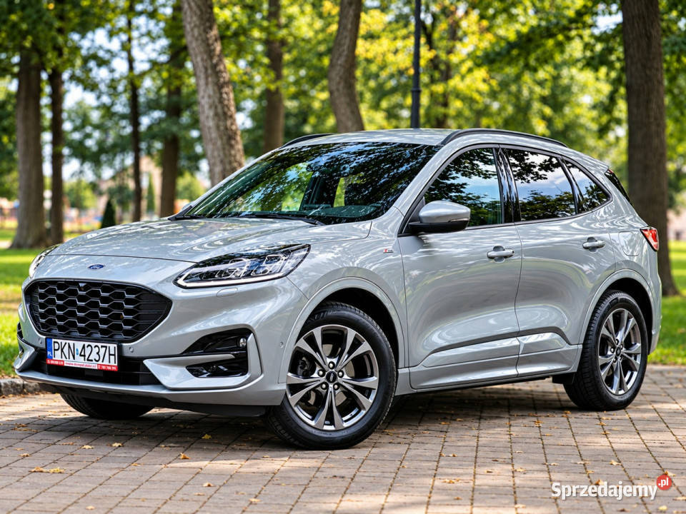 Ford Kuga III 2019 Sadlno