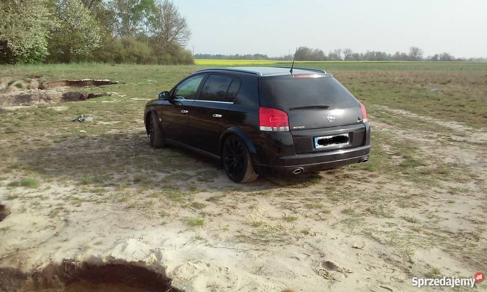 Opel Signum GAZ LPG 20T 175 KONI