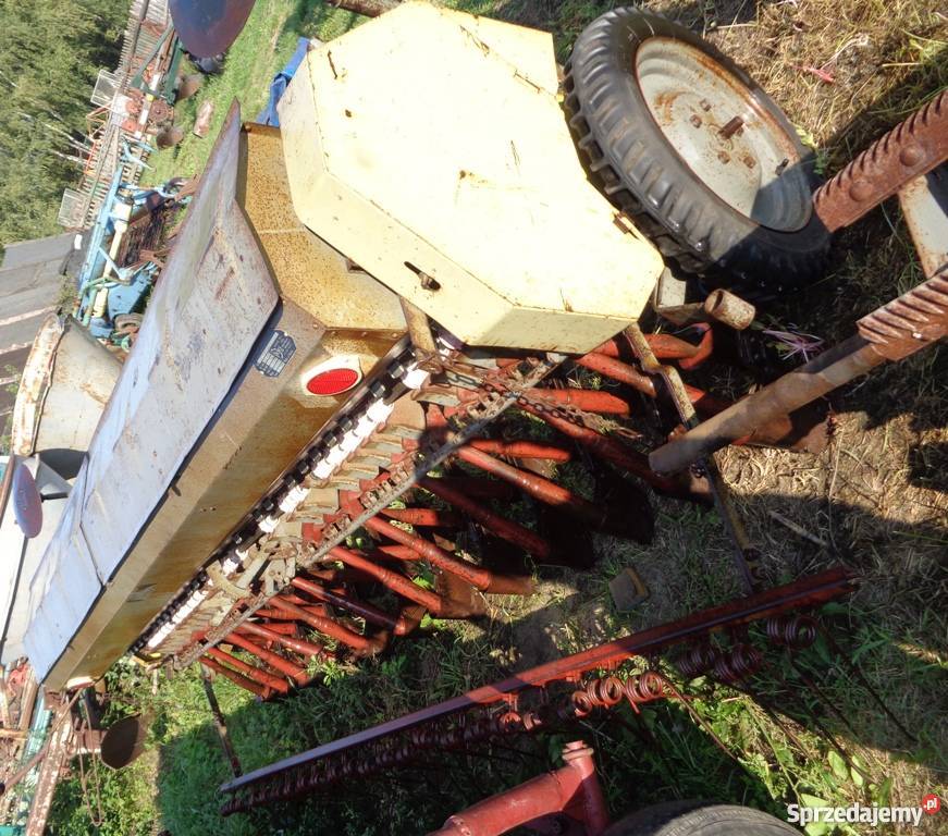 Siewnik Poznaniak podkarpackie Kamionka sprzedam