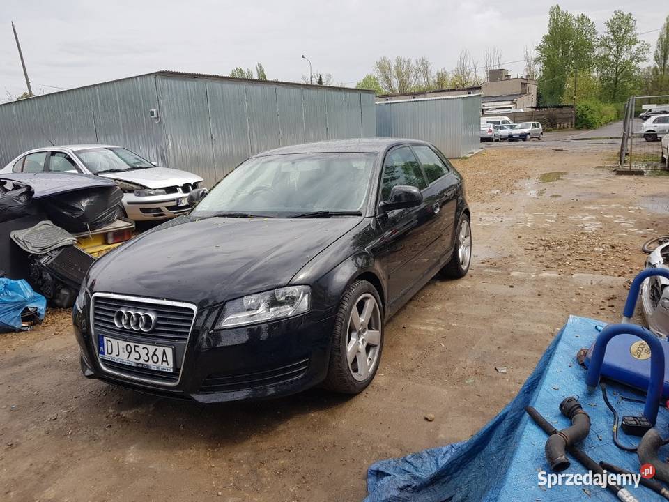 Audi a3 8p 2008r 19 TDI Anglik A3 Chorzów