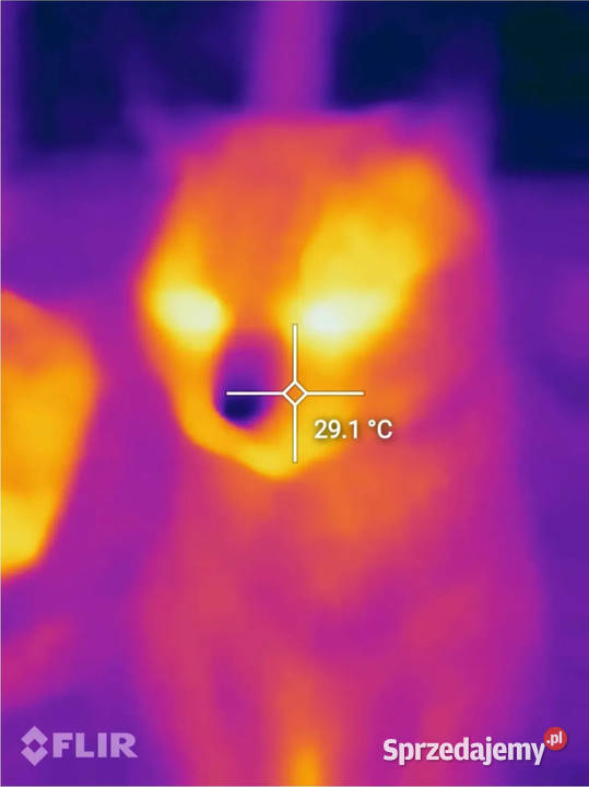 NOWY pancerny smartfon wbudowana TERMOWIZJA FLIR podkarpackie Rzeszów sprzedam