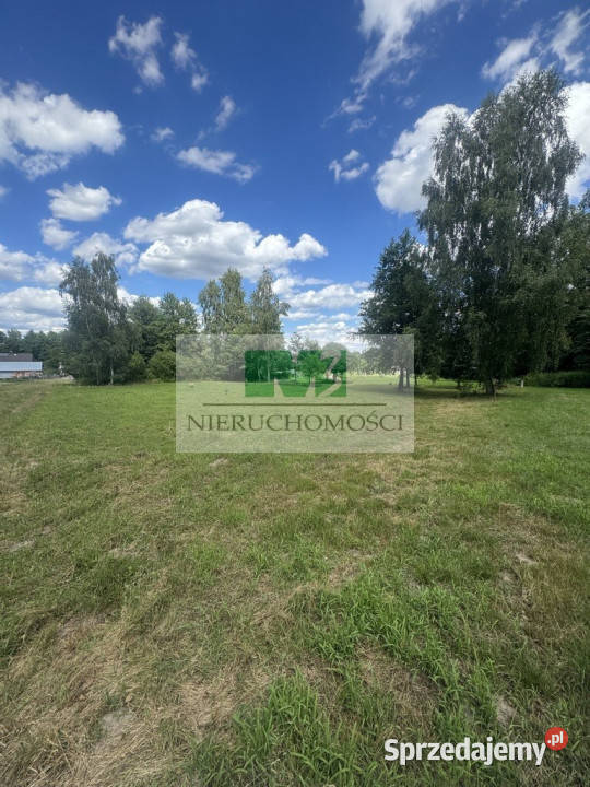NA SPRZEDAŻ DZIAŁKA W OTOCZENIU LASU W JELNEJ