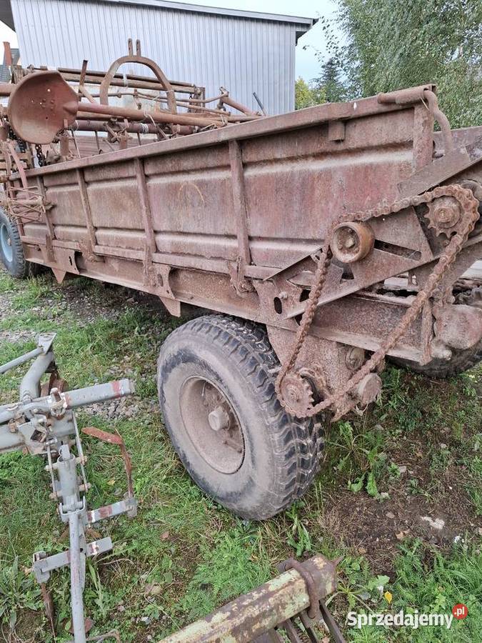 Rozrzutnik Ruski nieuszkodzony Nowa Słupia