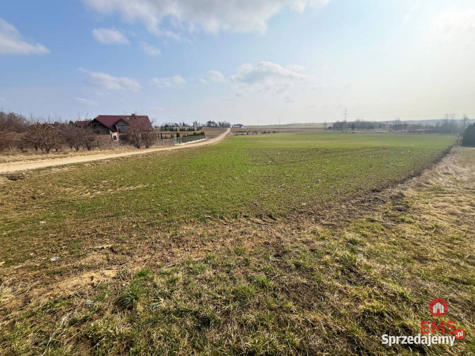 Działkę sprzedam 10000m2 Nowe Aleksandrowo sprzedam