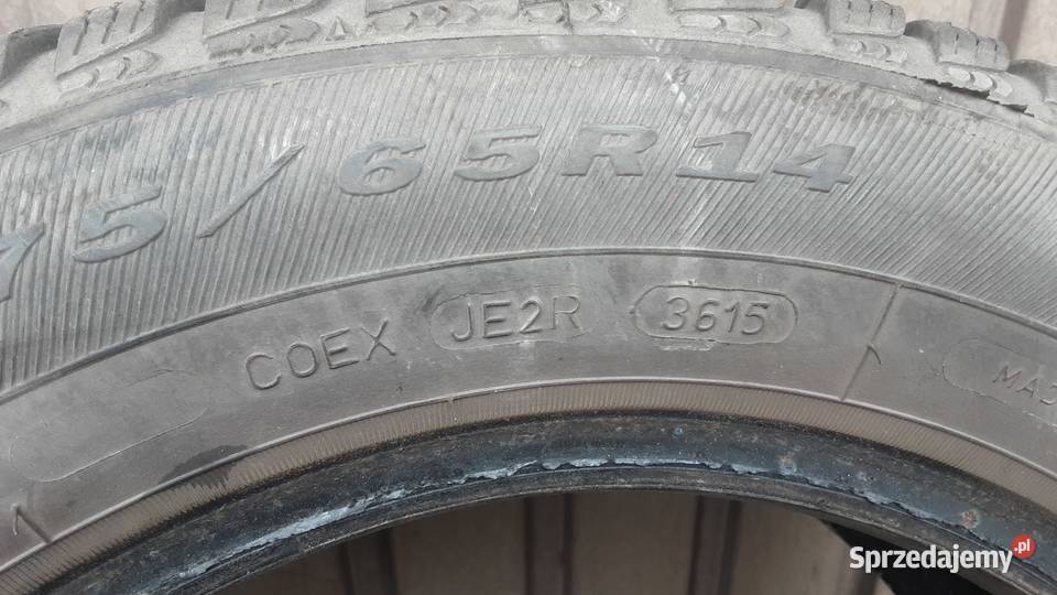 175 65 R14 Opony zimowe Dębica Frigo 2 Kędzierzyn-Koźle sprzedam