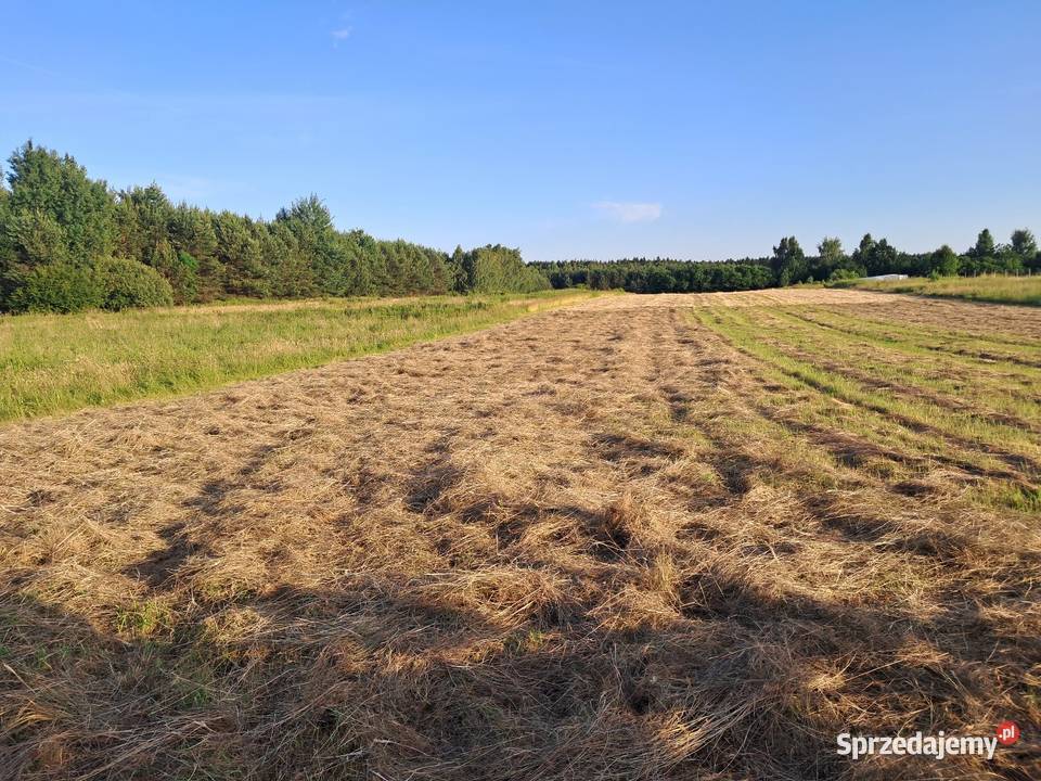 galfre gs520 claas unifarm Przyłęk