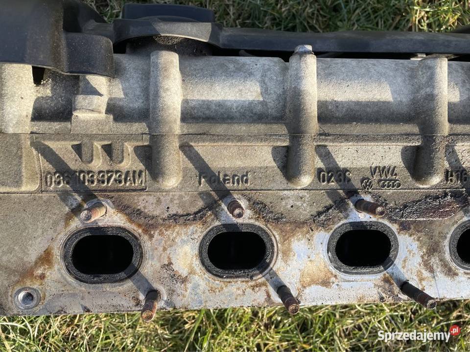 Głowica kpl 14 16V VW Audi Seat Skoda Murowana Goślina