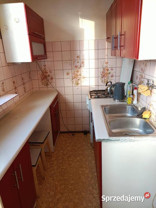 Kawalerka sieć Łódź