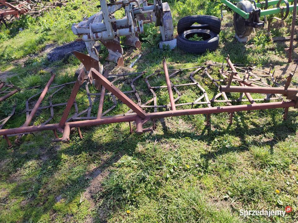 Brony lekkie ziemniakach Gołuchów