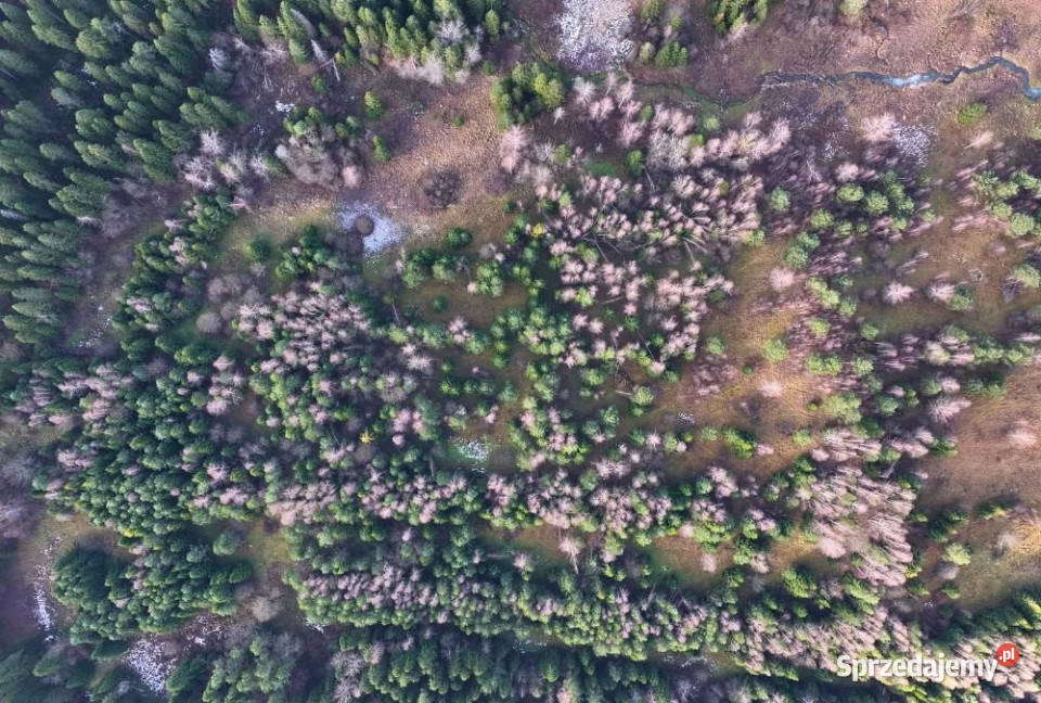 Działka Czarna 11400m2