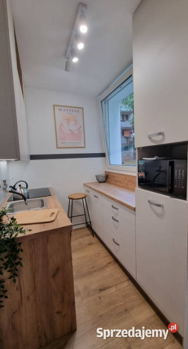 Piękna kawalera świetna Łódź