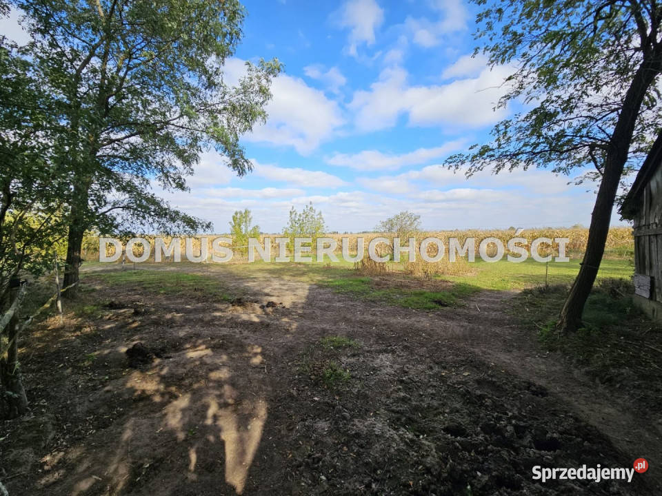 Dom wolnostojący sprzedam Bogoria Górna 156m2