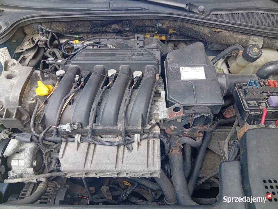 Sprzedam Siennica Różana sprzedam