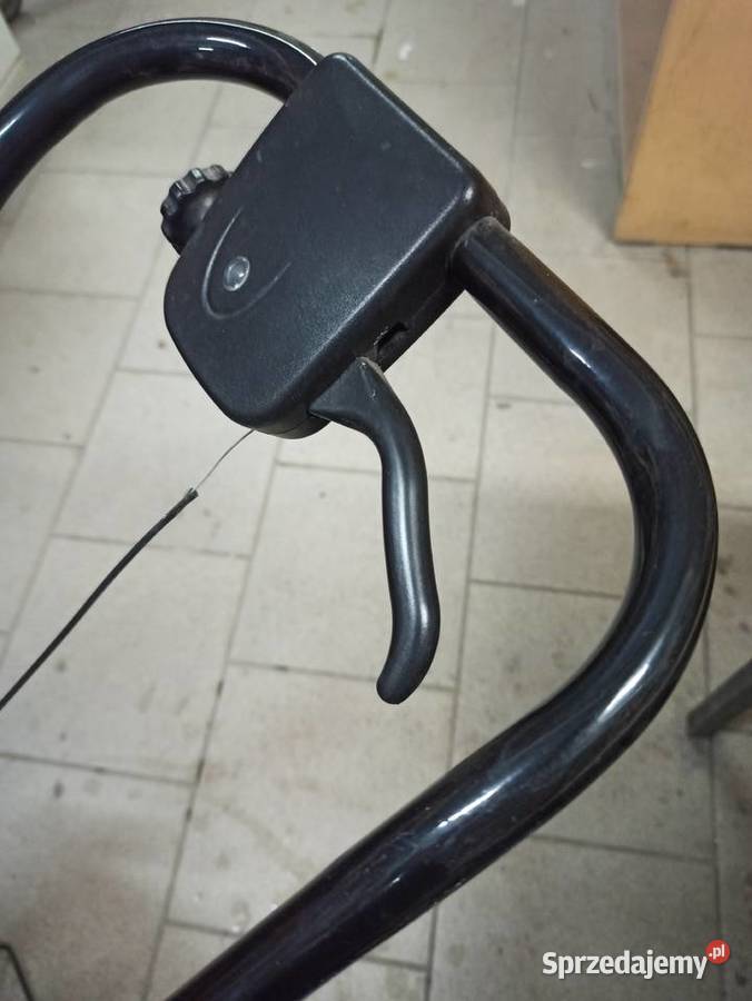 Siewnik do trawy wielkopolskie