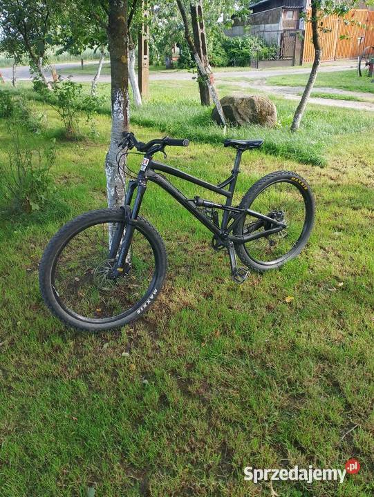 Dartmoor Black Bird doinwestowany SUPER sprzedam