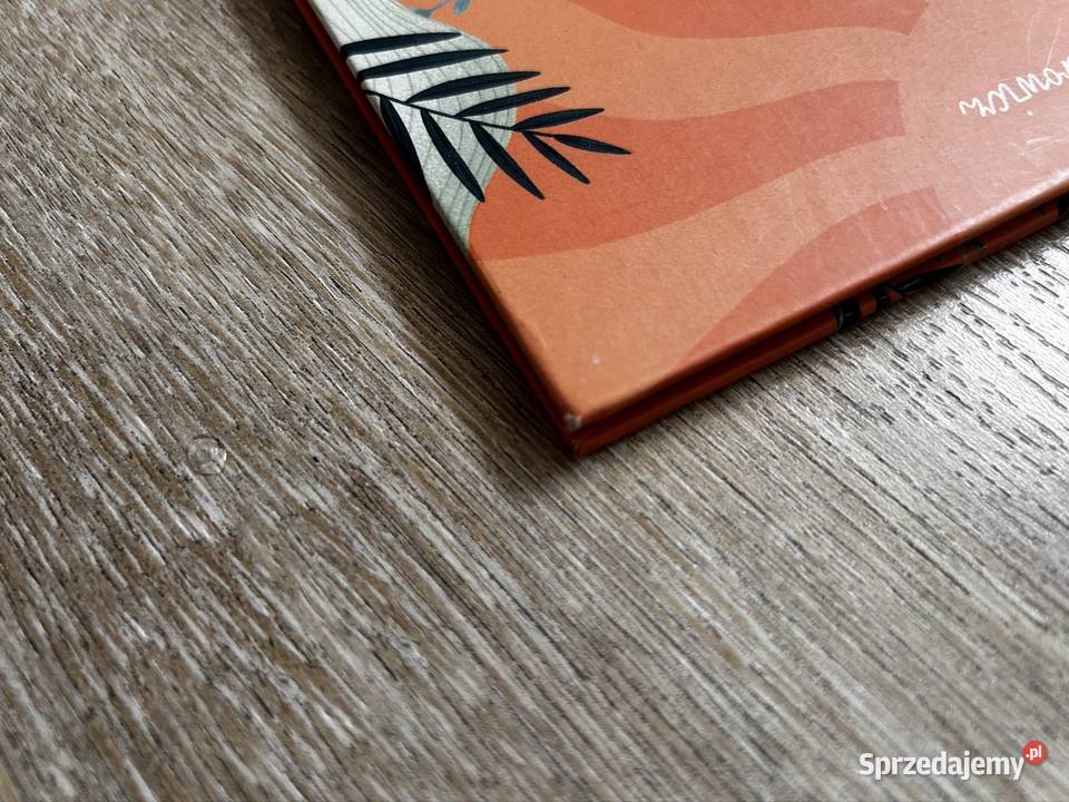 Suno historia niezwykłej przyjaźni Lidia Książki dla dzieci Wyszków