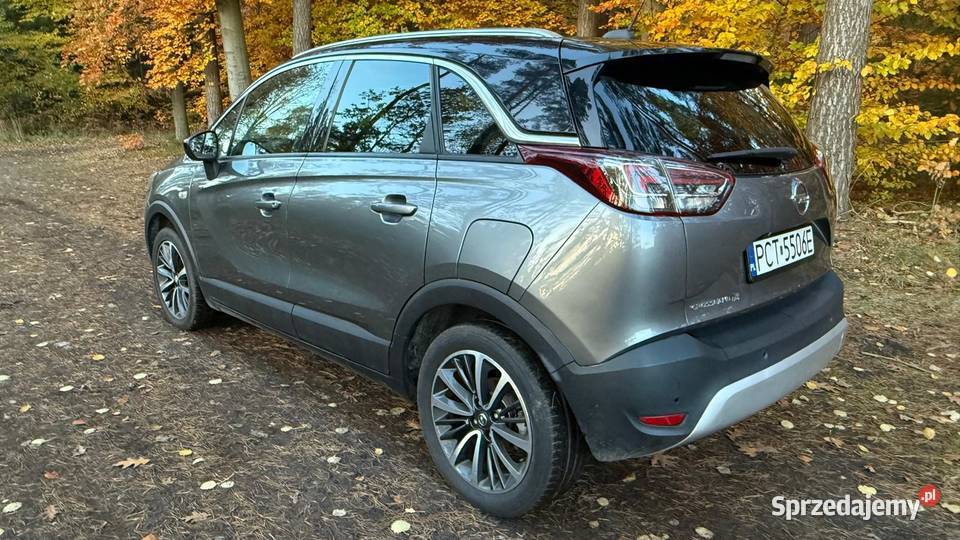 12i Automat 62 Zarejestrowany