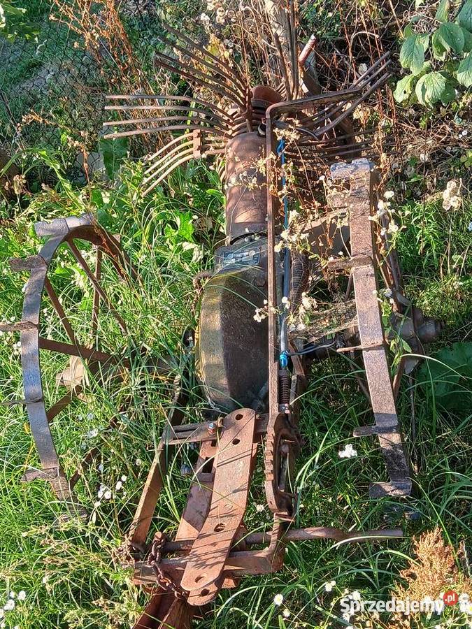 kopaczka konna Sławatycze