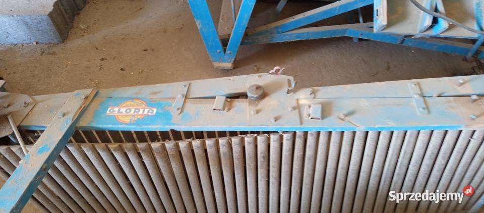 Sortownik do ziemniaków Gloria Przespolew Kościelny