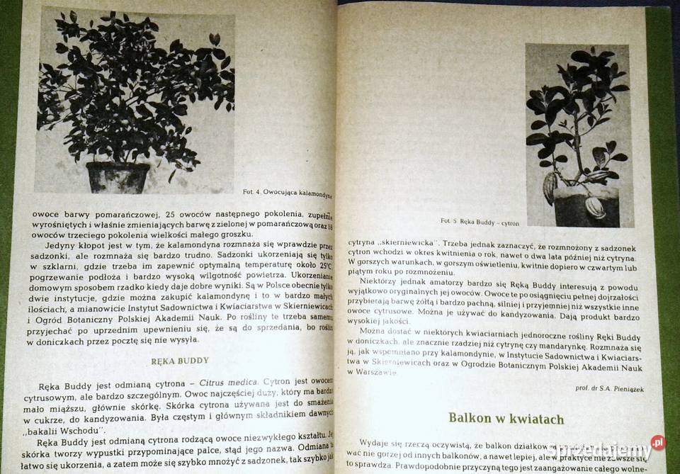 O działce Eugeniusz Kondracki i inni miękka lubelskie Chełm sprzedam