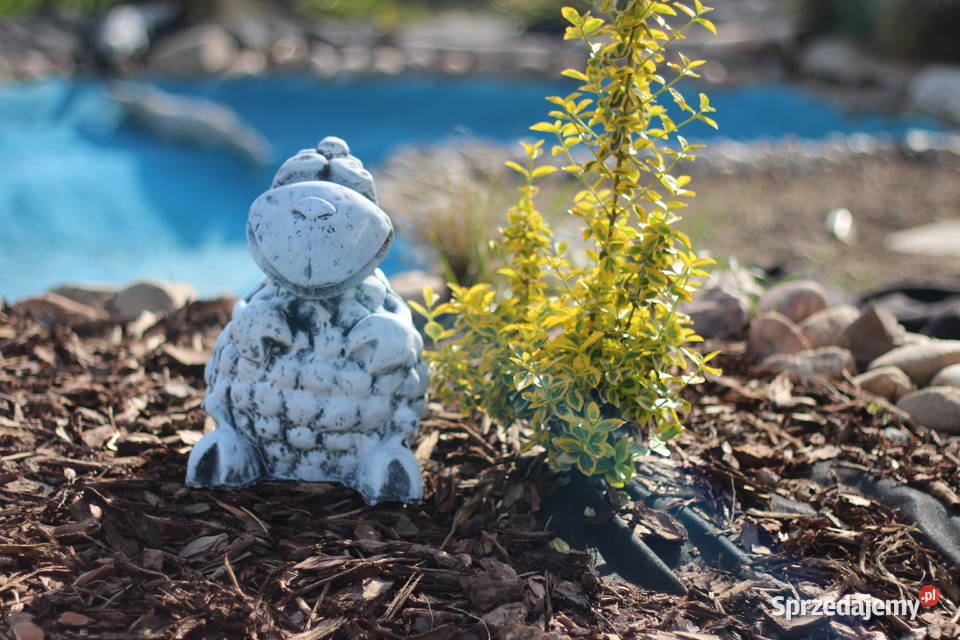 Figura ogrodowa baranek