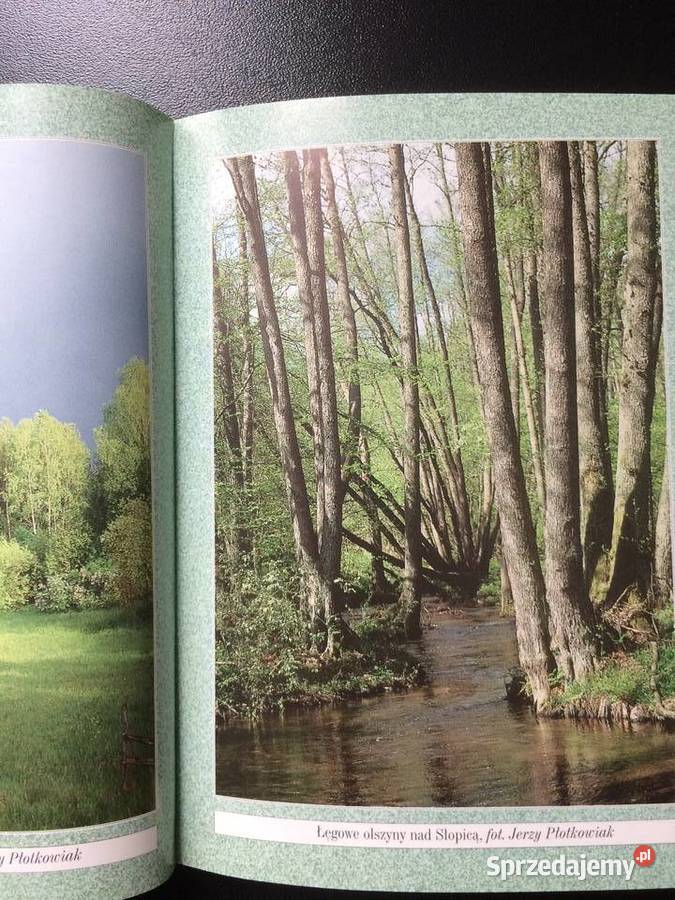 167 Drawieński Park Narodowy I zachodniopomorskie Szczecin