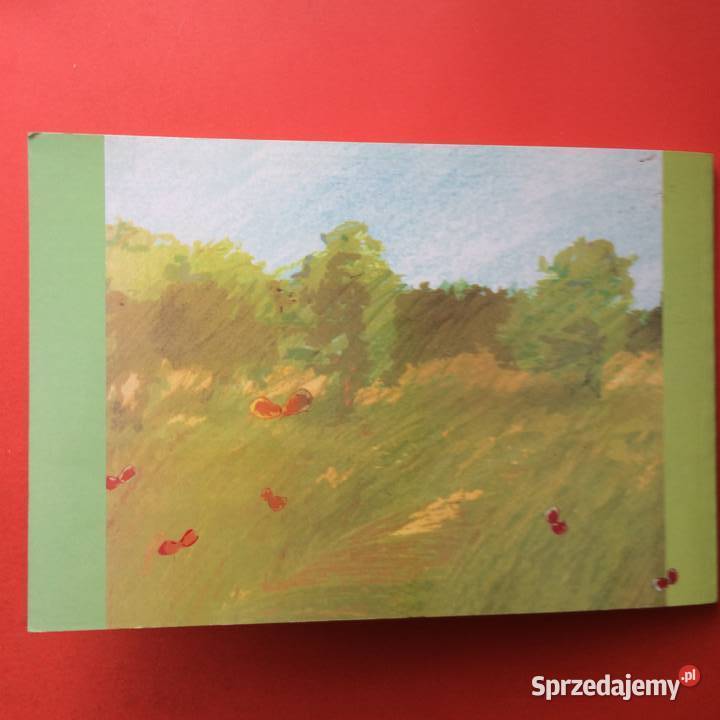 2134 Poradnik Wędrowca