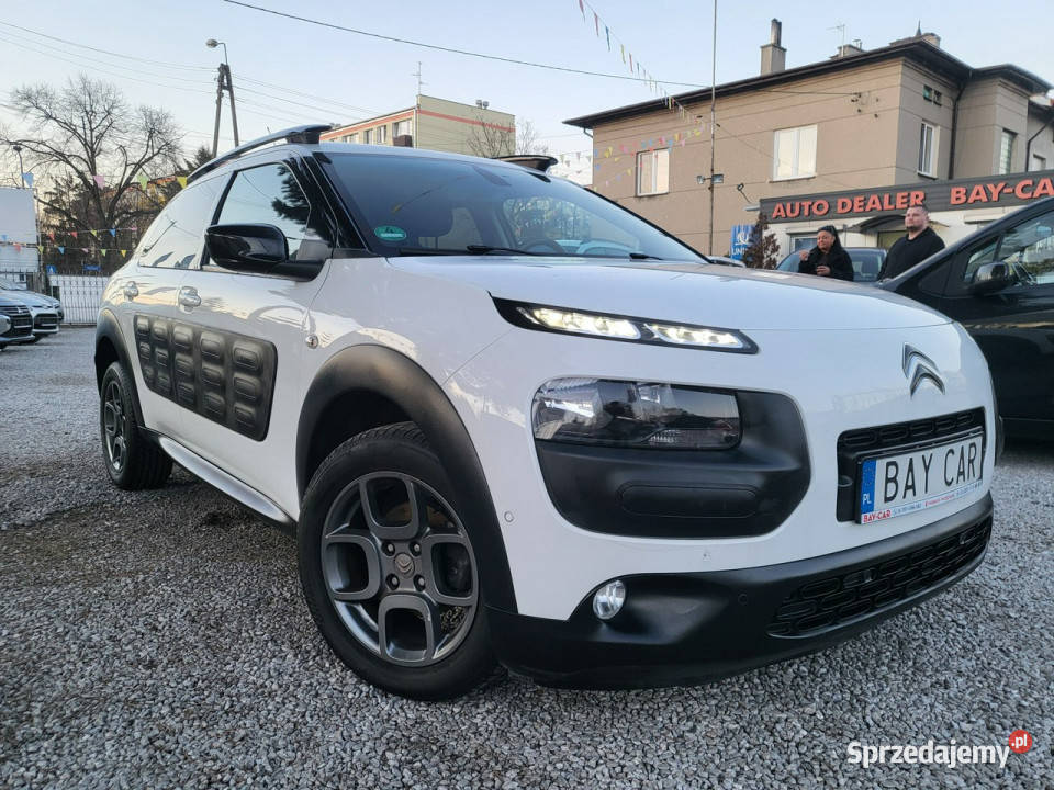 Citroen C4 Cactus 16 100 100 Oryginał 100 4/5 Pabianice