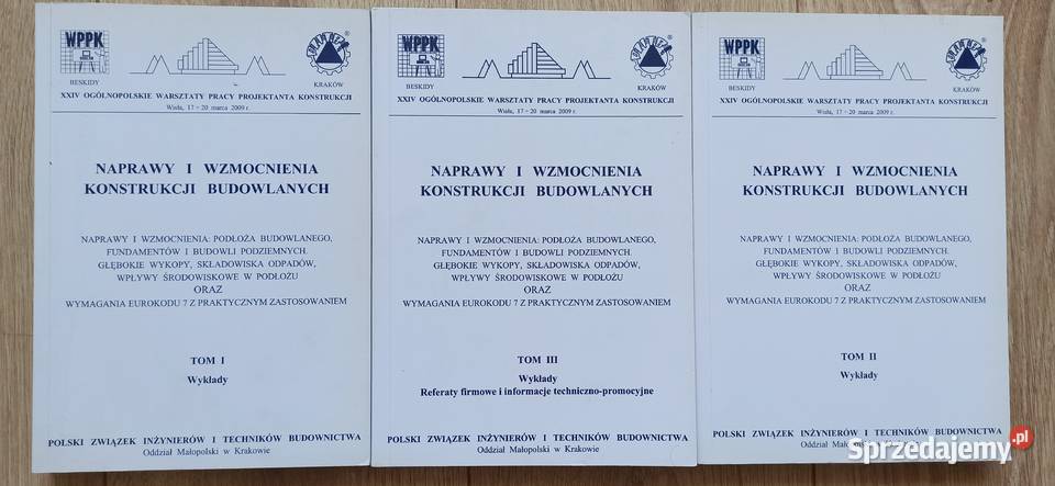 Naprawy i wzmocnienia konstrukcji budowlanych t Kraków