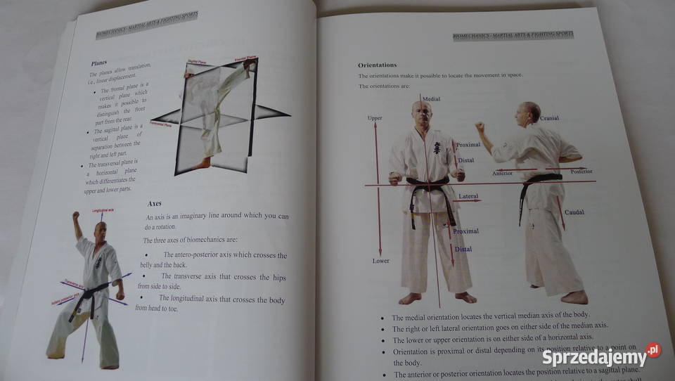 SHIHAN KRON Technical Biomechanics of Martial Radom