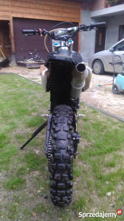 Diabolini cross Ciche