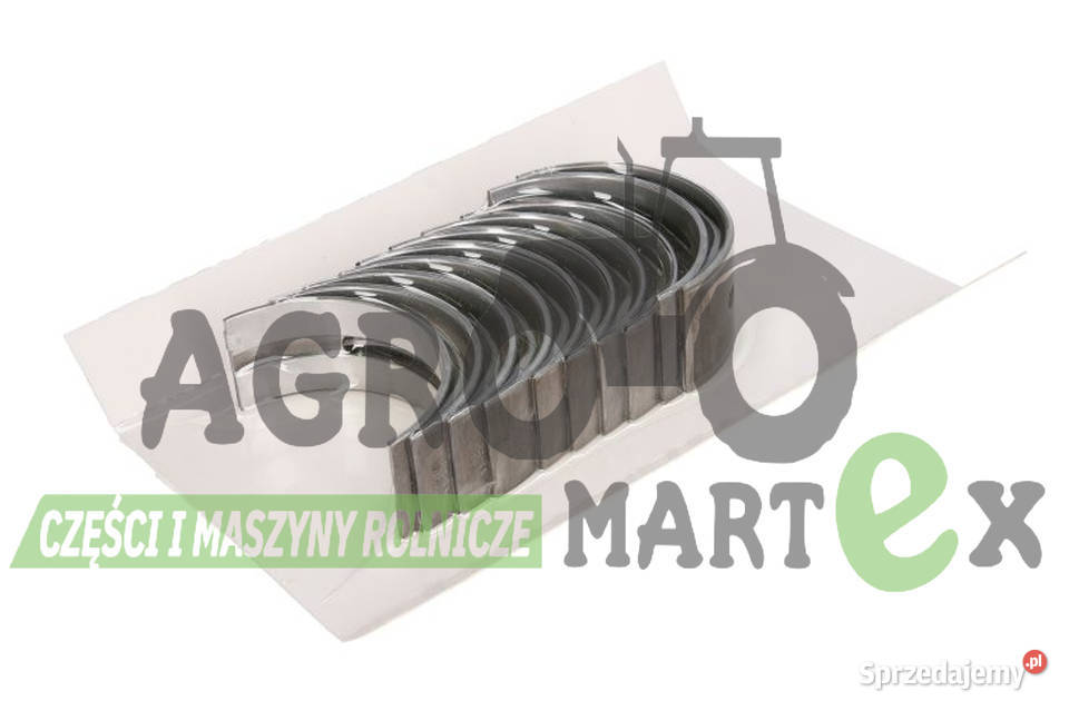 02192002 02192002 ZESTAW PANEWEK GŁÓWNYCH STD Wichrów