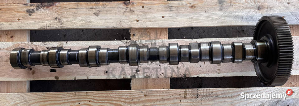 Deutz TCD 2012 L06 4V TCD2012L064V Wałek Jastrzębniki
