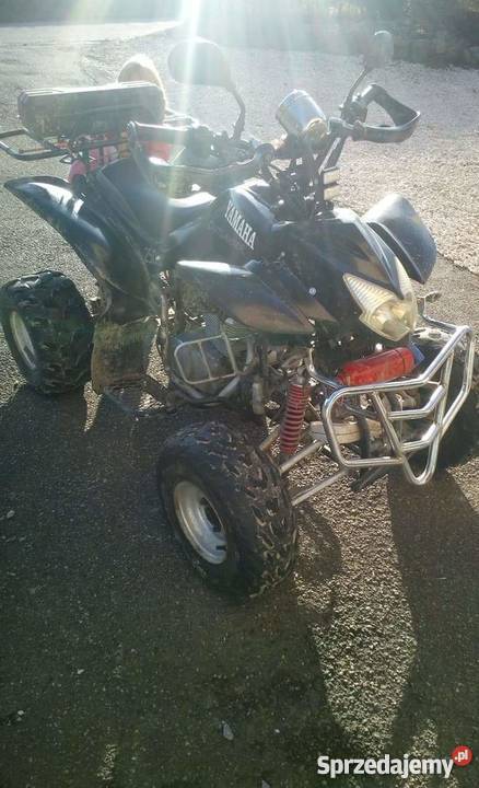 Bashan swap honda barossa 250 quad Bochnia