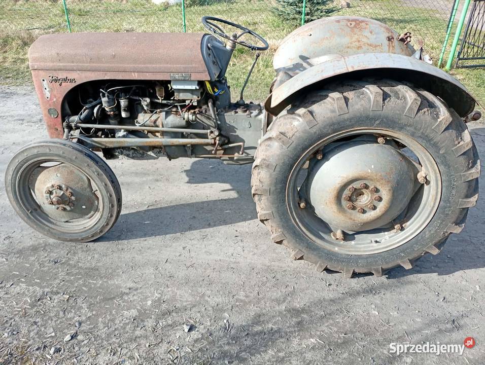 Sprzedam Fergusona TED 20 wielkopolskie Gniezno