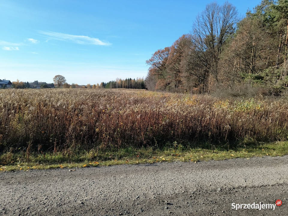 Działka Nowy Staw 14371m2