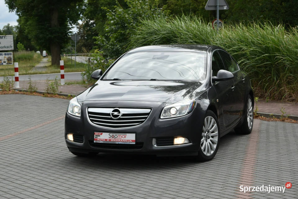 Opel Insignia 20CDTi 160 Manual 2009r Polski szary Kampinos
