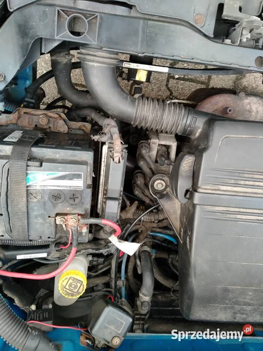 Fiat panda Actual 2004 USZCZELKA POD GŁOWICĄ Lublin