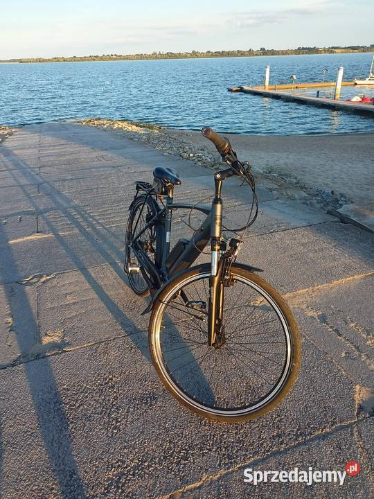 Rower męski elektryczny BBF