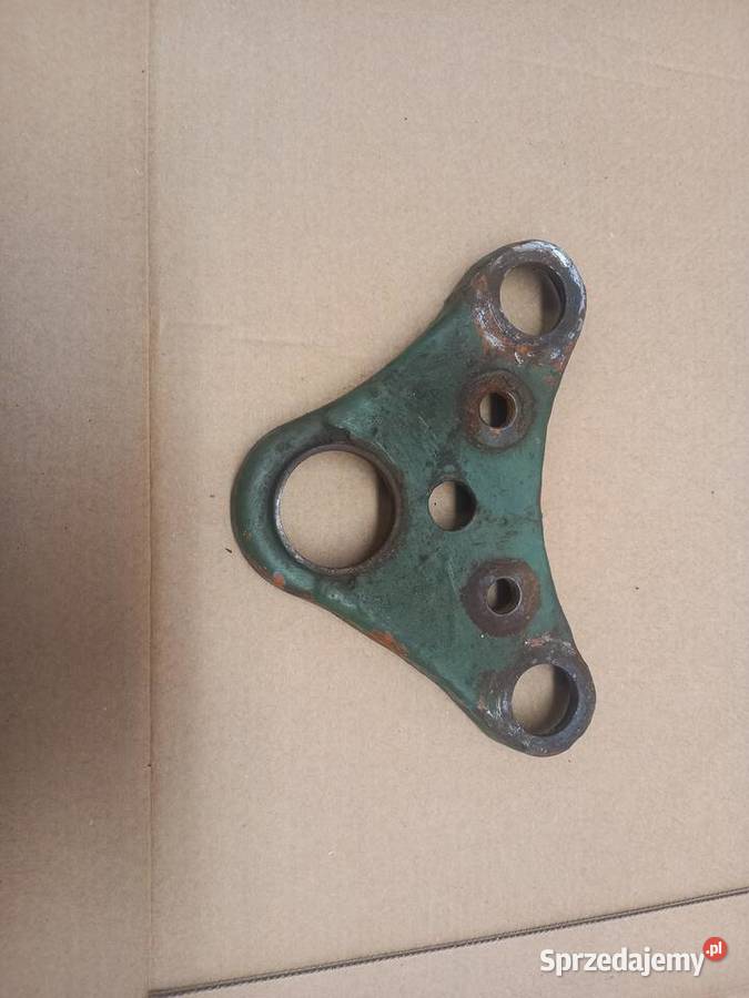 Polka zak ryś Sokołów Podlaski