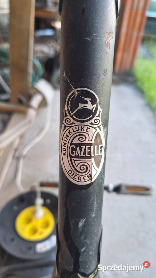 Rower retro Gazelle Koninkluge dieren wielkopolskie Konin