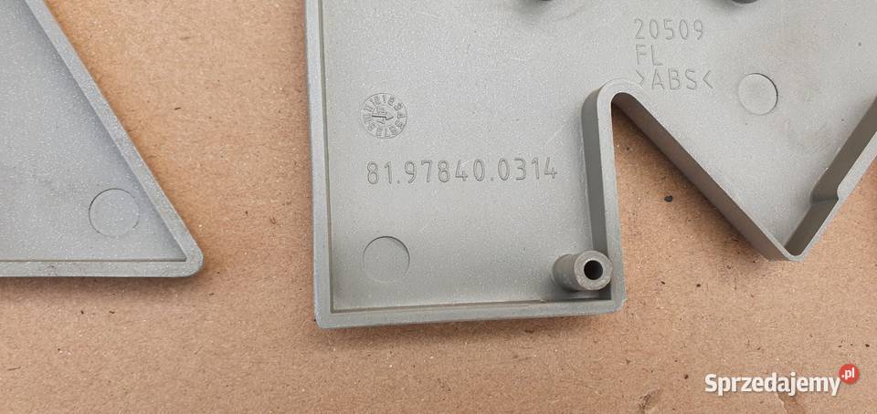 LOGO LITERKA EMBLEMAT MAN lubuskie Bieleń