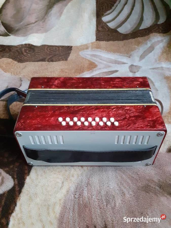 AKORDEON MAŁY świętokrzyskie