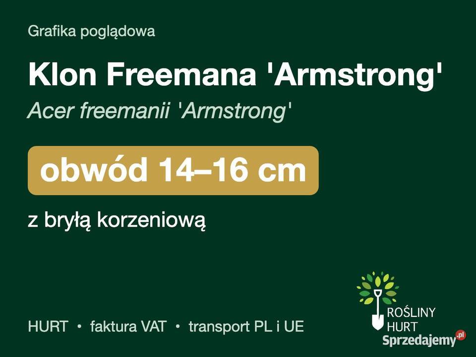 Klon Freemana Armstrong obwód 1416 z bryłą HURT